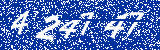 Capcha image