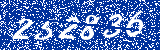 Capcha image